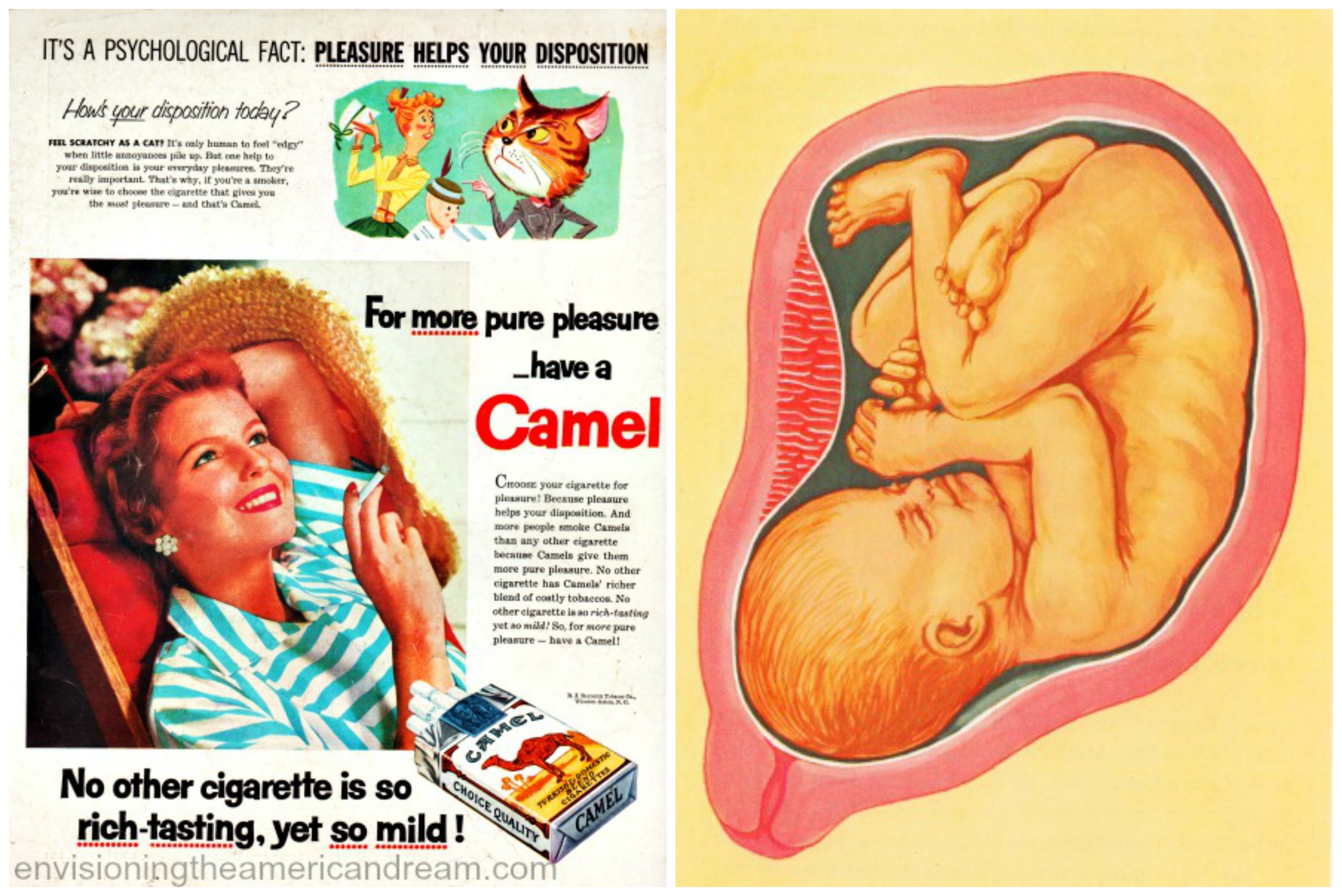 smoking-pregnancy-camels-disposition.jpg